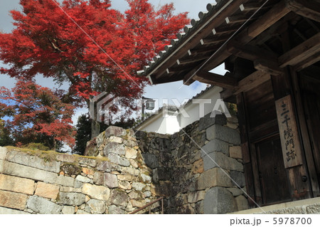 三千院山門 5978700