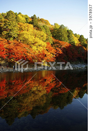 紅葉の香嵐渓 5978937