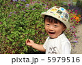 植物に触れる 5979516