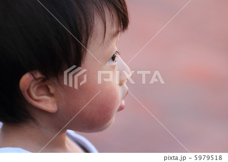 ぼたもち 5979518