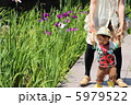 花菖蒲と息子 5979522