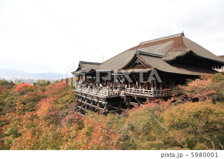 清水寺 世界遺産 11月撮影 紅葉 清水寺 世界遺産 11月撮影 紅葉 5980001