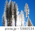青空とすすき 5980534