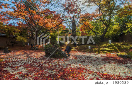 松島、円通院の秋 5980589