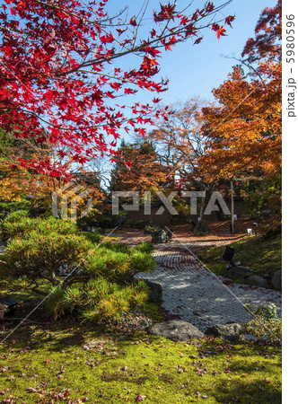 松島、円通院の秋 5980596