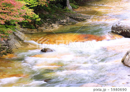 白絹の床 5980690