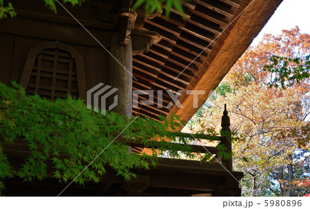 武蔵野散歩・山門・平林寺 5980896