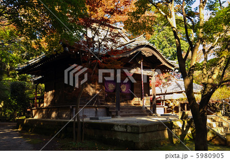 武蔵野散歩 半僧坊 平林寺境内の写真素材