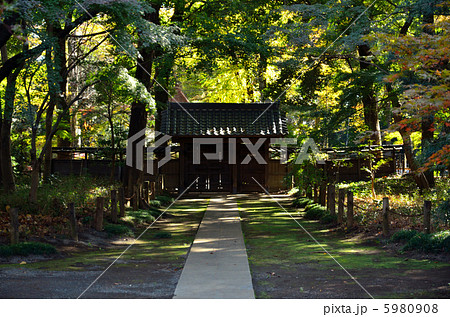 武蔵野散歩・半僧門 平林寺境内 武蔵野散歩・半僧門 平林寺境内 5980908