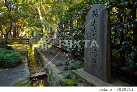 武蔵野散歩・野火止用水 平林寺境内 武蔵野散歩・野火止用水 平林寺境内 5980913