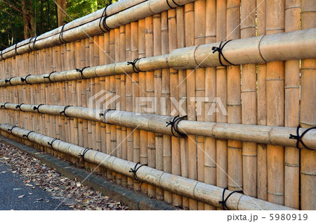 武蔵野散歩・竹垣 5980919