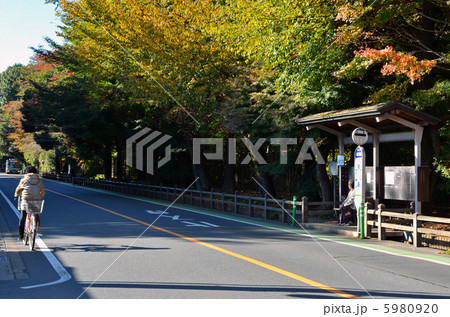 武蔵野散歩・大門通り 5980920