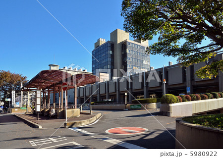 武蔵野散歩・新座市役所 武蔵野散歩・新座市役所 5980922