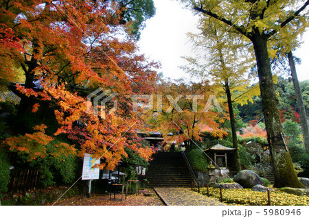 大興善寺 紅葉の写真素材
