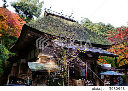 大興善寺　紅葉 5980948