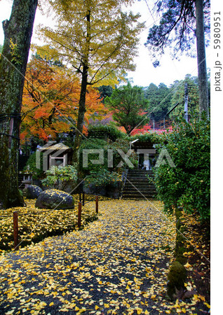 大興善寺　紅葉 5980951