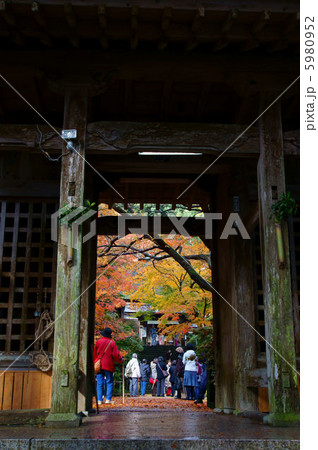 大興善寺　紅葉 5980952