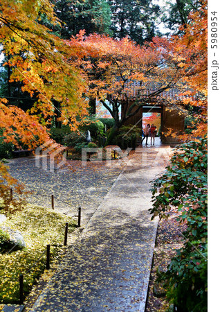 大興善寺　紅葉 5980954