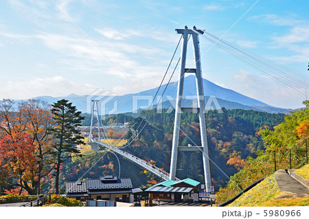 九重夢大吊橋 5980966