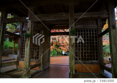 大興善寺　紅葉 5981000