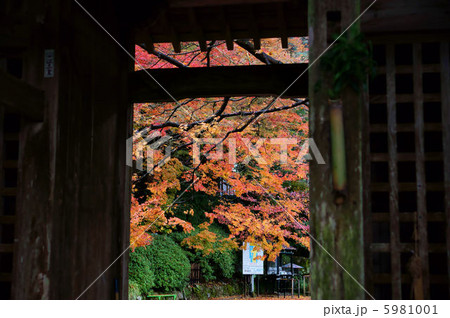 大興善寺　紅葉 5981001