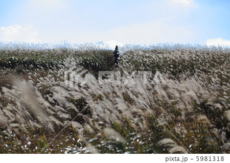 生石高原 5981318