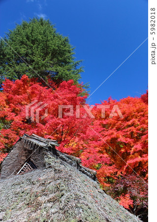 紅葉と茅葺き屋根 紅葉と茅葺き屋根 5982018