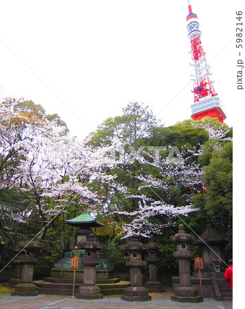 徳川家の墓+東京タワー 徳川家の墓+東京タワー 5982146