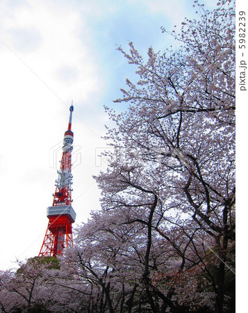 春の東京タワー 春の東京タワー 5982239