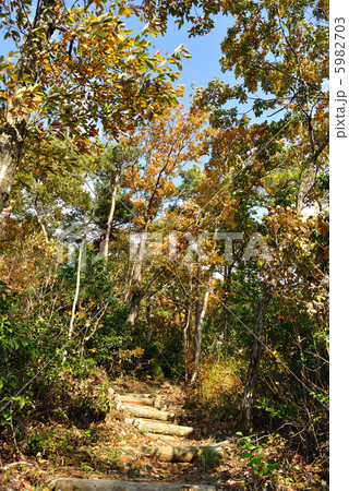 里山の遊歩道 5982703