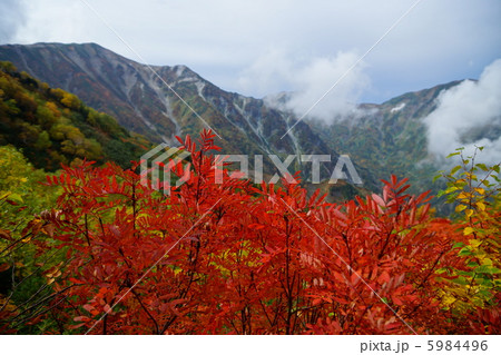 白馬大池から蓮華温泉へ向かう山道からの眺め 5984496