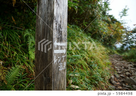 白馬大池から蓮華温泉へ向かう山道 5984498