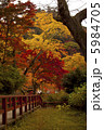 紅葉の愛桜橋 5984705