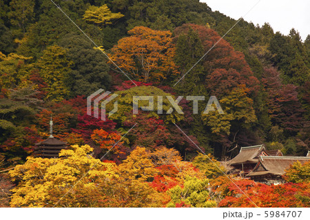 多武峰の紅葉に浮かぶ談山神社 5984707