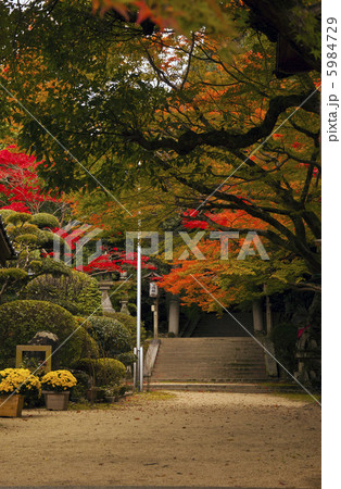 多武峰の麓にひっそり佇む等彌神社 5984729
