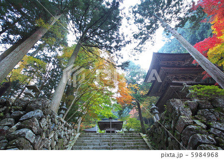 両界山横蔵寺　三重塔 5984968