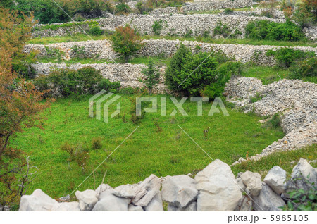 Sheep pasture, drystone walls, Rudine, Croatia 5985105