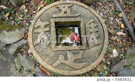 吾唯足知の水手鉢 吾唯足知の水手鉢 5985631