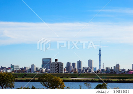 青空が広がる東京スカイツリーと川の手住宅街 5985635