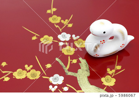 巳年 年賀素材 白蛇と梅の花 巳年 年賀素材 白蛇と梅の花 5986067