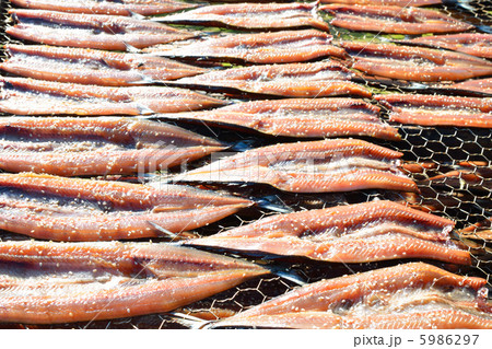 みりん干し さんま みりん干し さんま 5986297