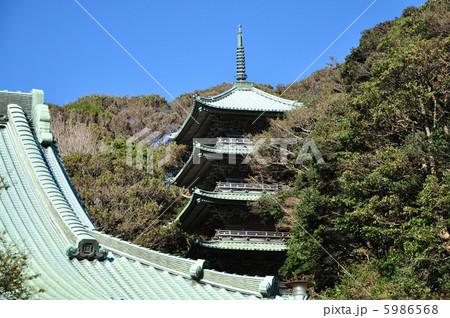 片瀬龍口寺 5986568