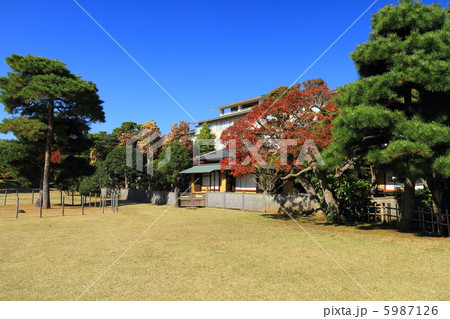 庭園のもみじ 庭園のもみじ 5987126