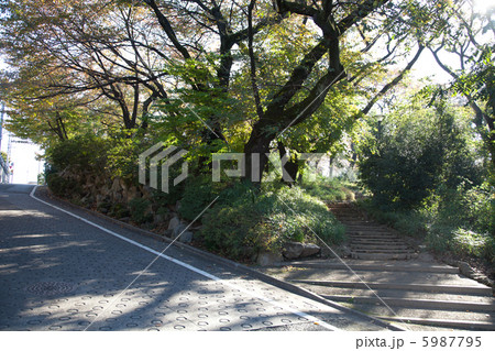 秋の洗足池公園 秋の洗足池公園 5987795