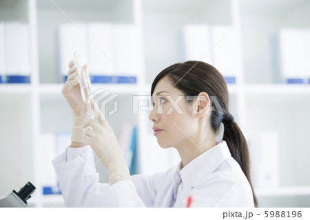 薬品の研究をする30代女性 5988196