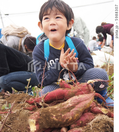 うれしい うれしい 5988307