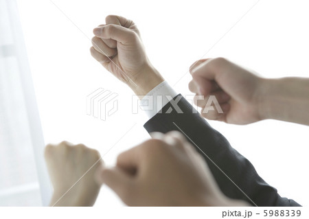 拳を上げる4人の手 5988339