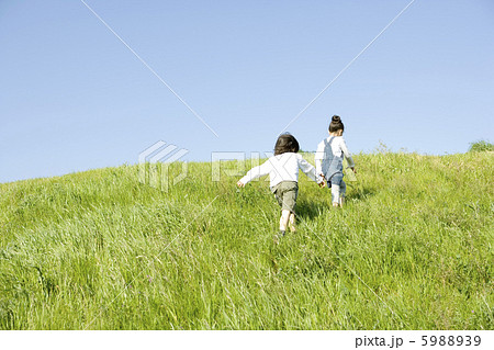 野原で遊ぶ子供の後姿 野原で遊ぶ子供の後姿 5988939
