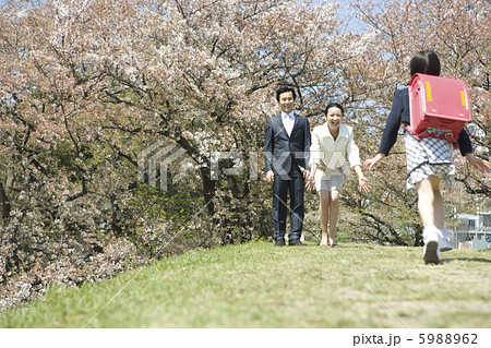 桜の前で両親に駆け寄る女の子 5988962