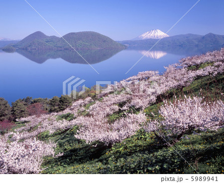 洞爺湖壮瞥公園の写真素材